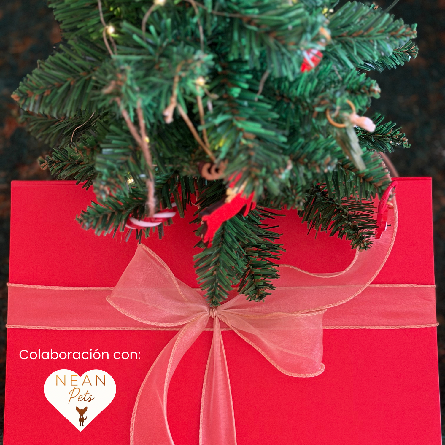 Packs cajita navideña