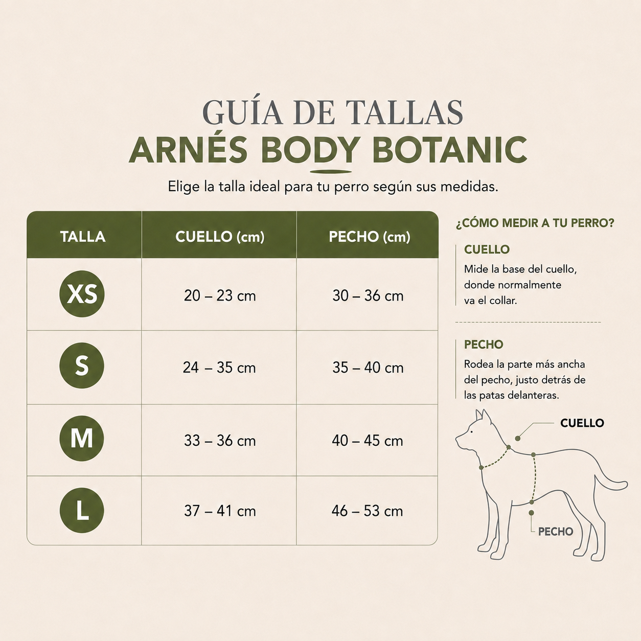 Arnés body botanic