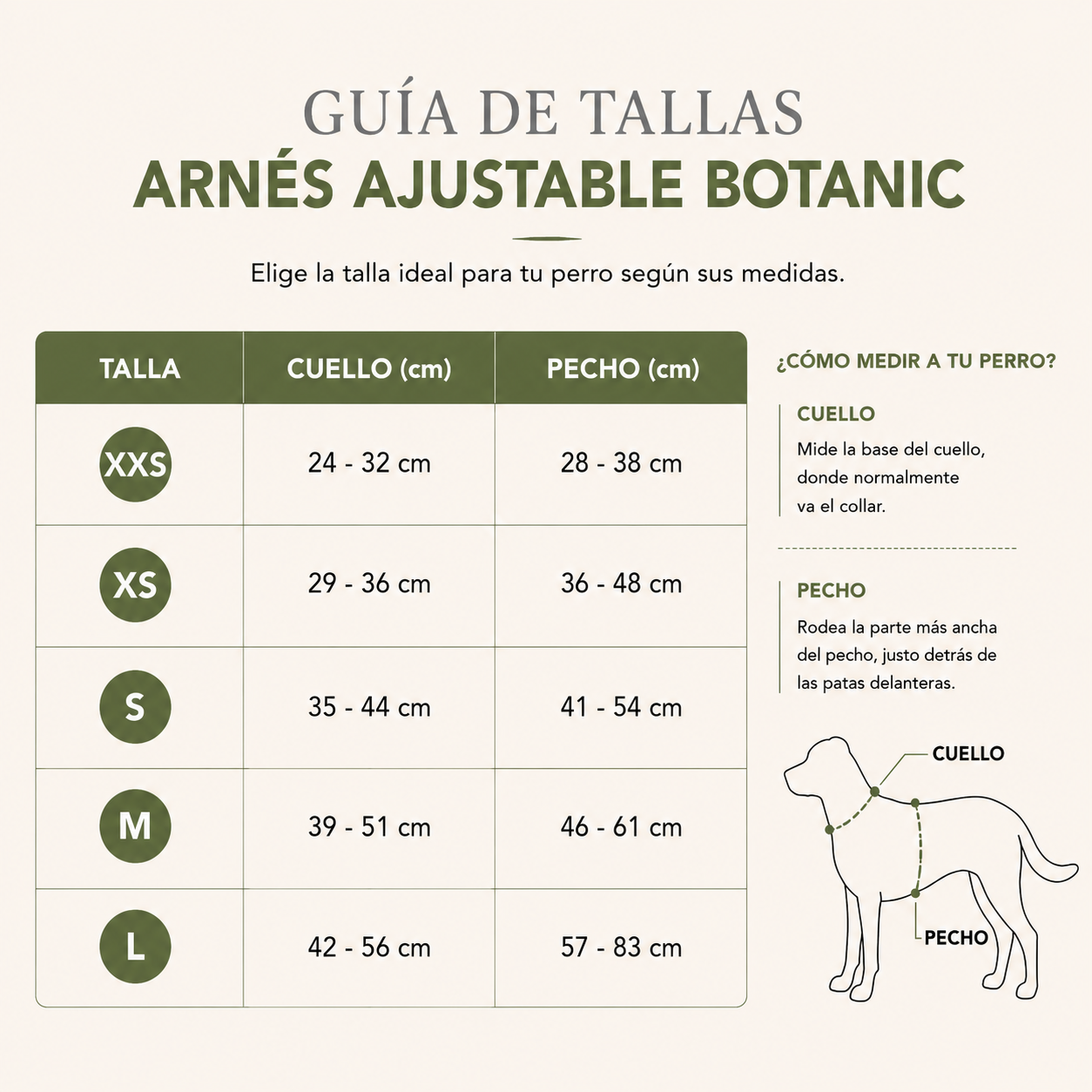 Total look botanic