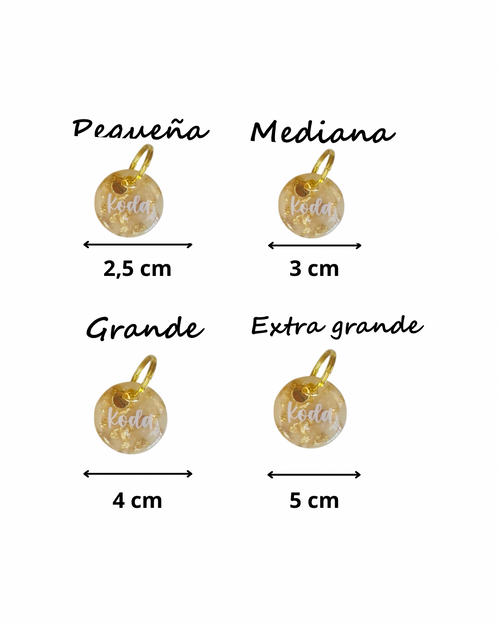 Chapita azul y dorado (pequeña)