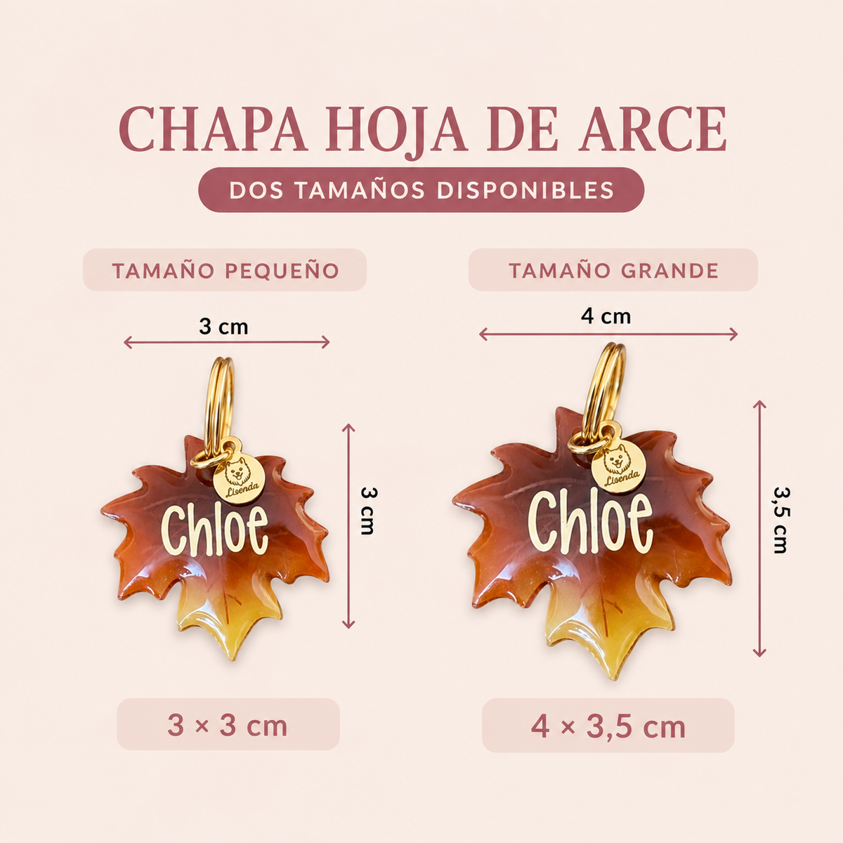 Chapita hoja de arce