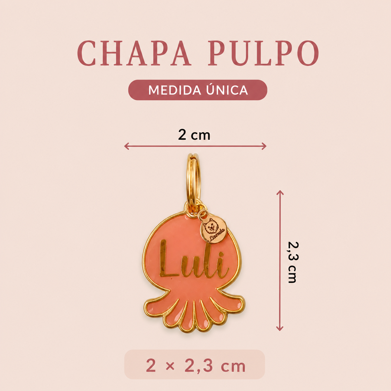 Chapita pulpo