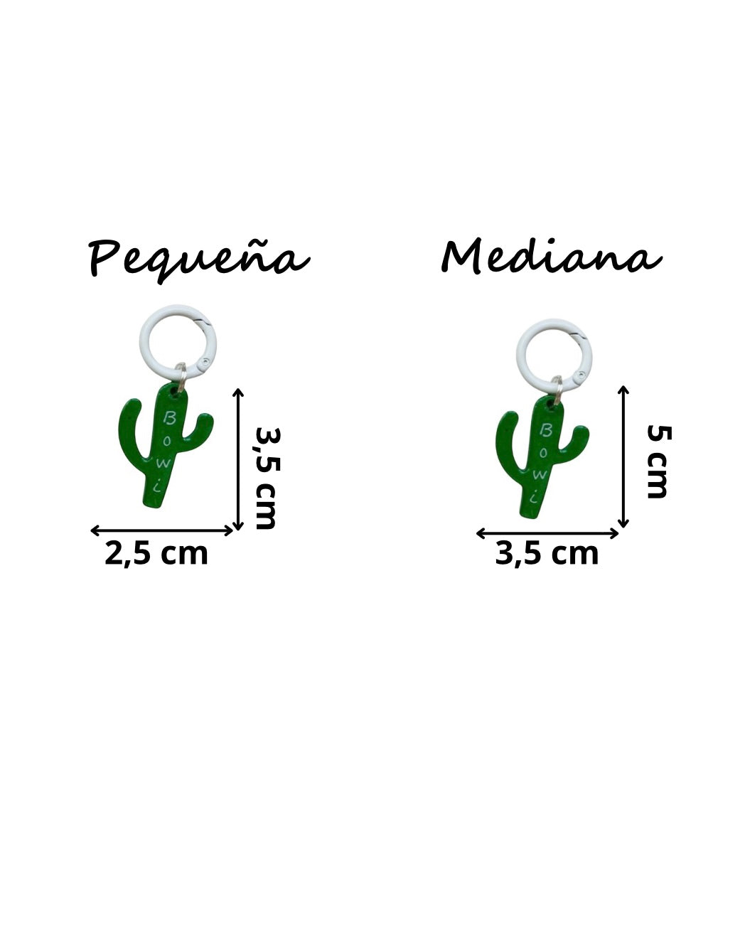 Chapita cactus