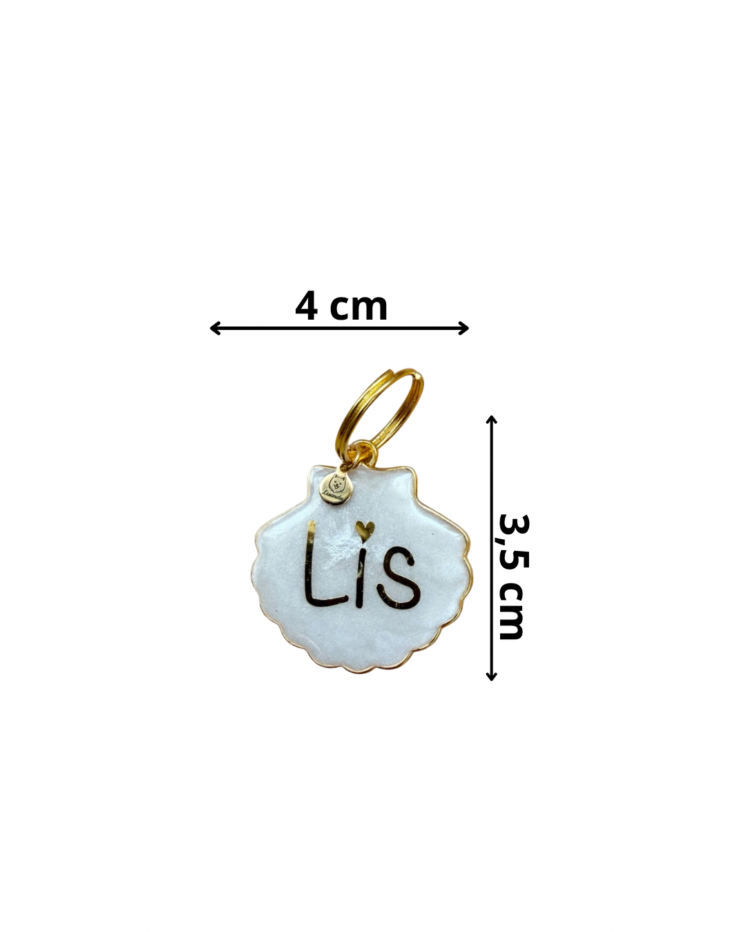 Chapita concha dorada