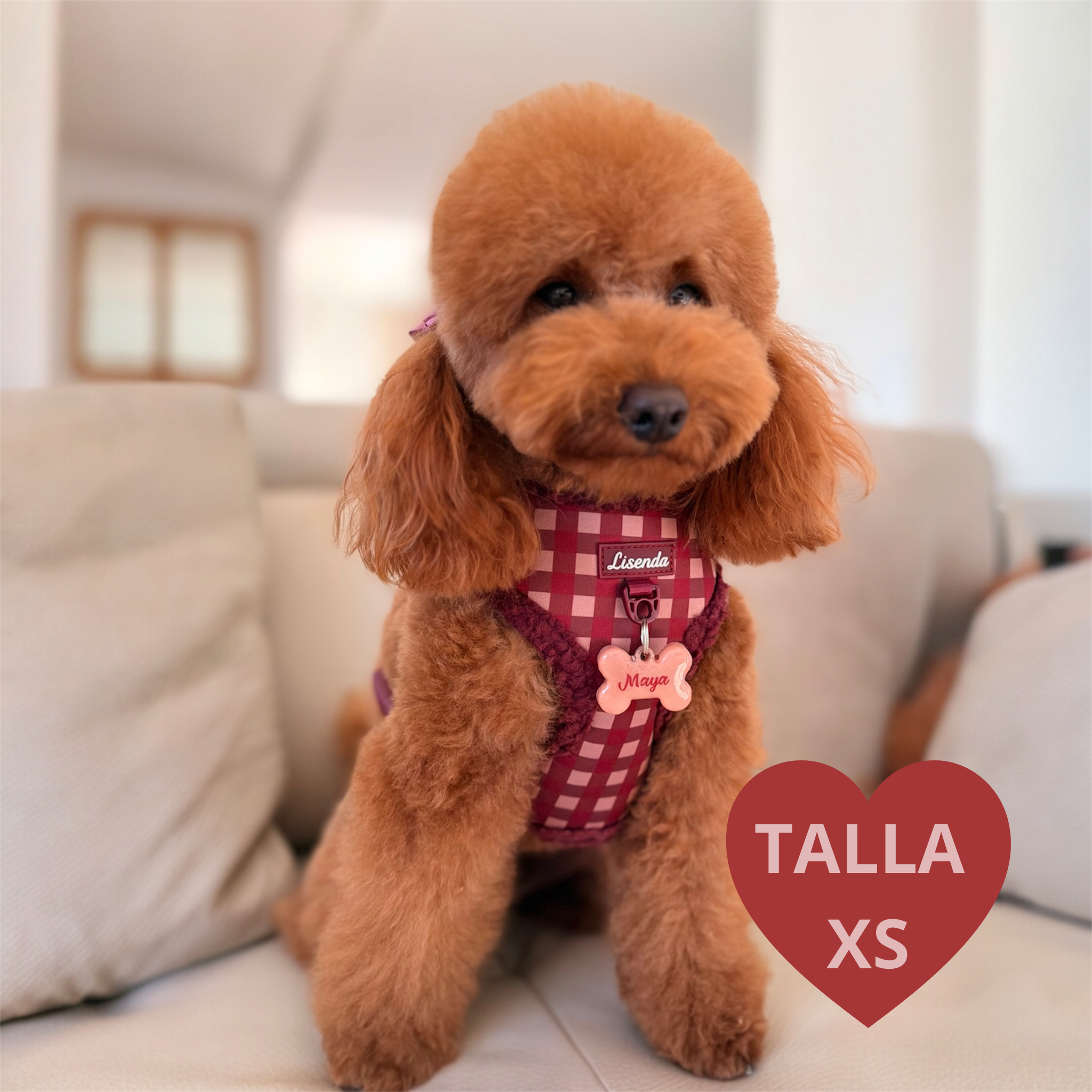 Arnés ajustable Red Velvet