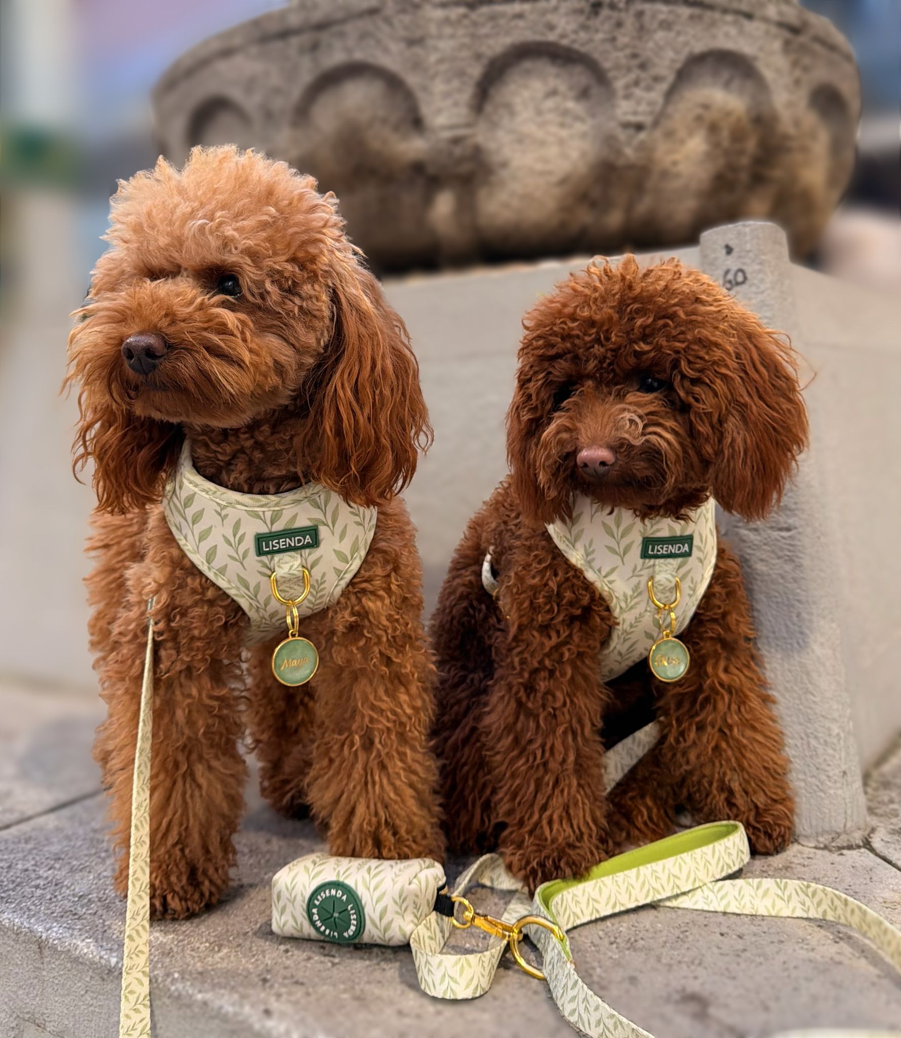 Arnés ajustable botanic