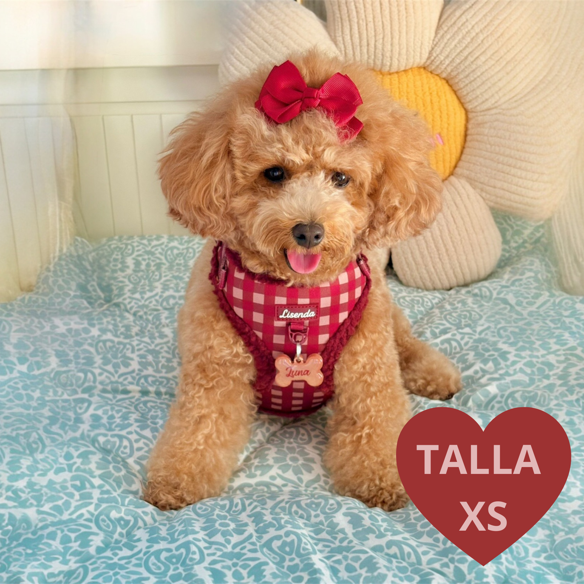 Total look Red Velvet