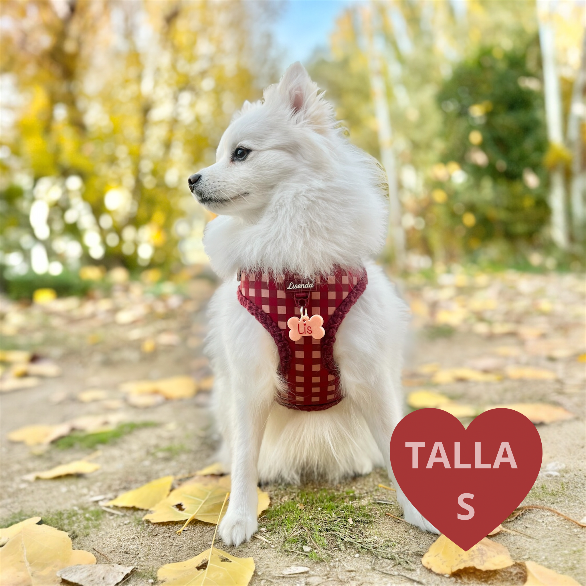 Arnés ajustable Red Velvet