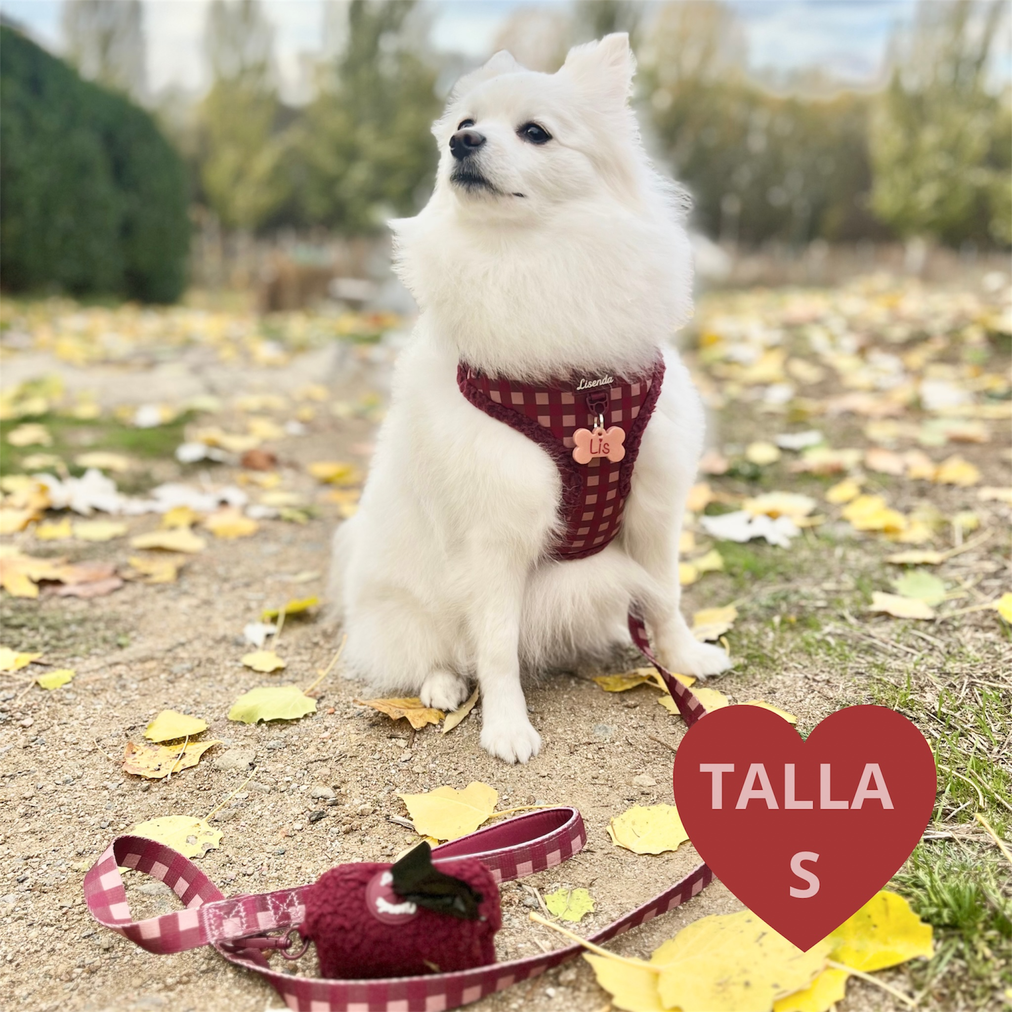 Total look Red Velvet