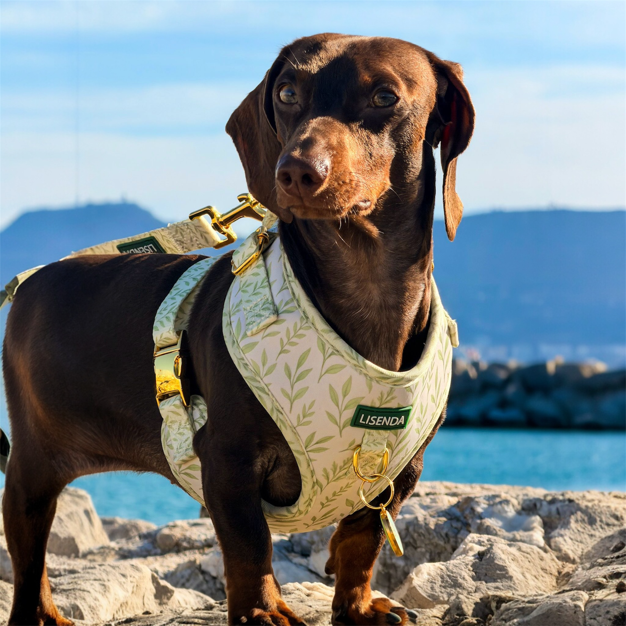 Arnés ajustable botanic