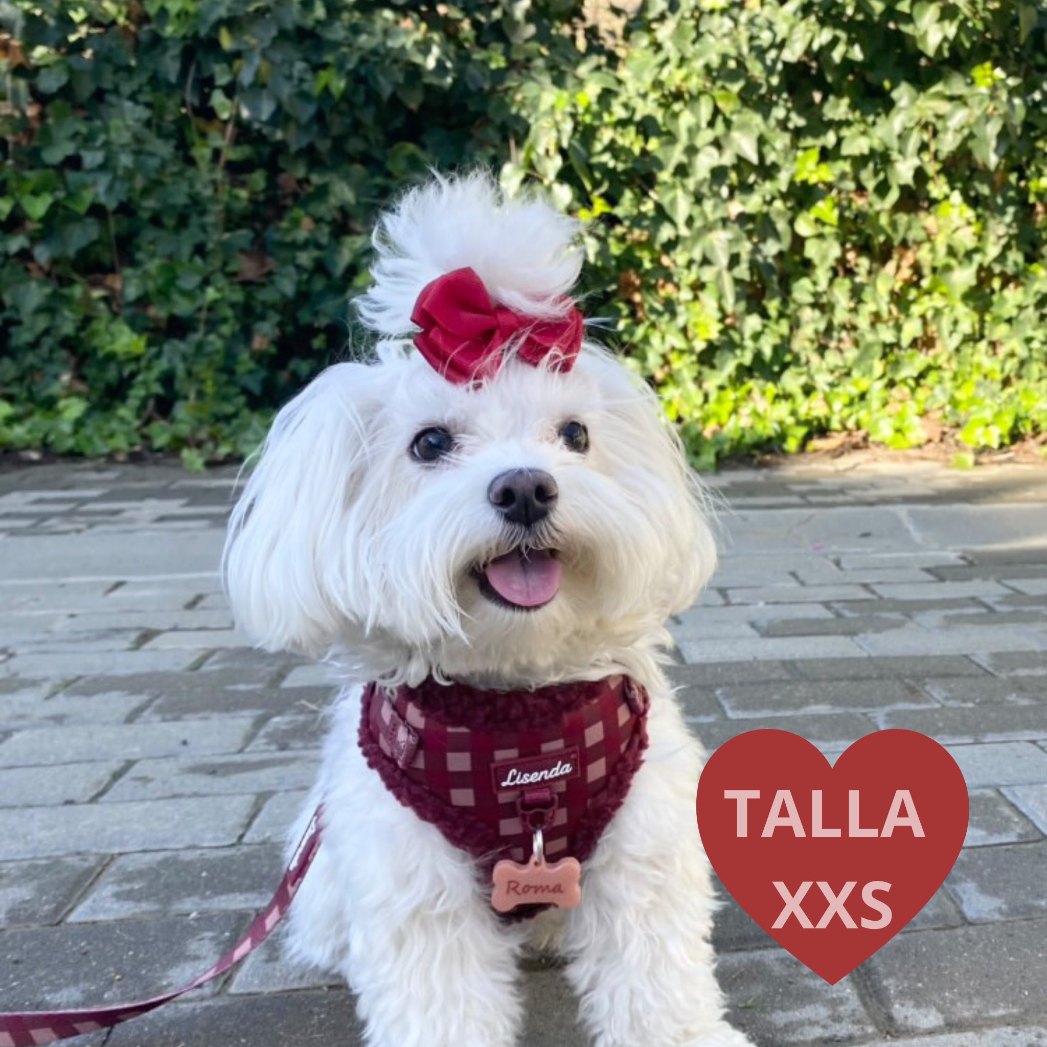 Total look Red Velvet