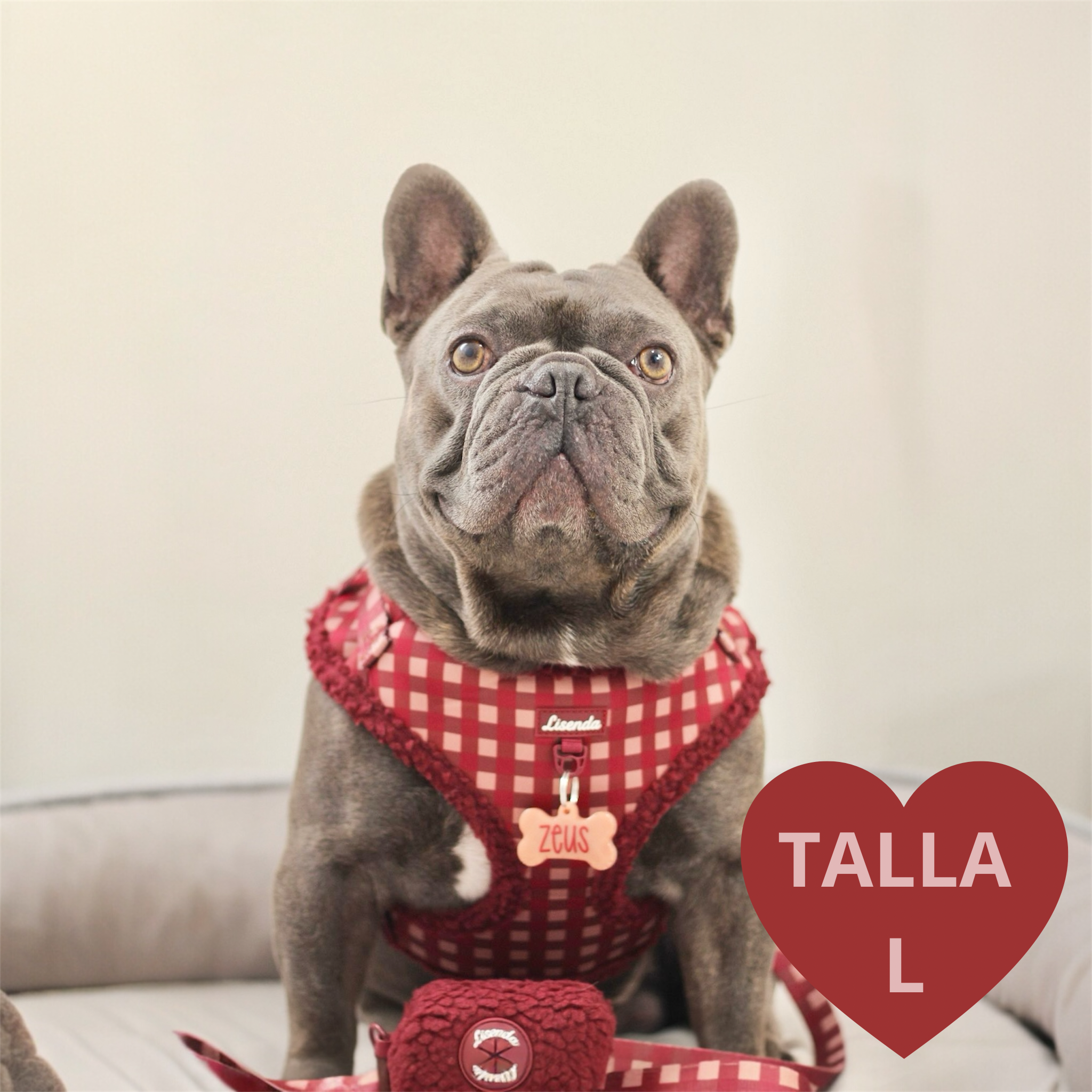 Total look Red Velvet