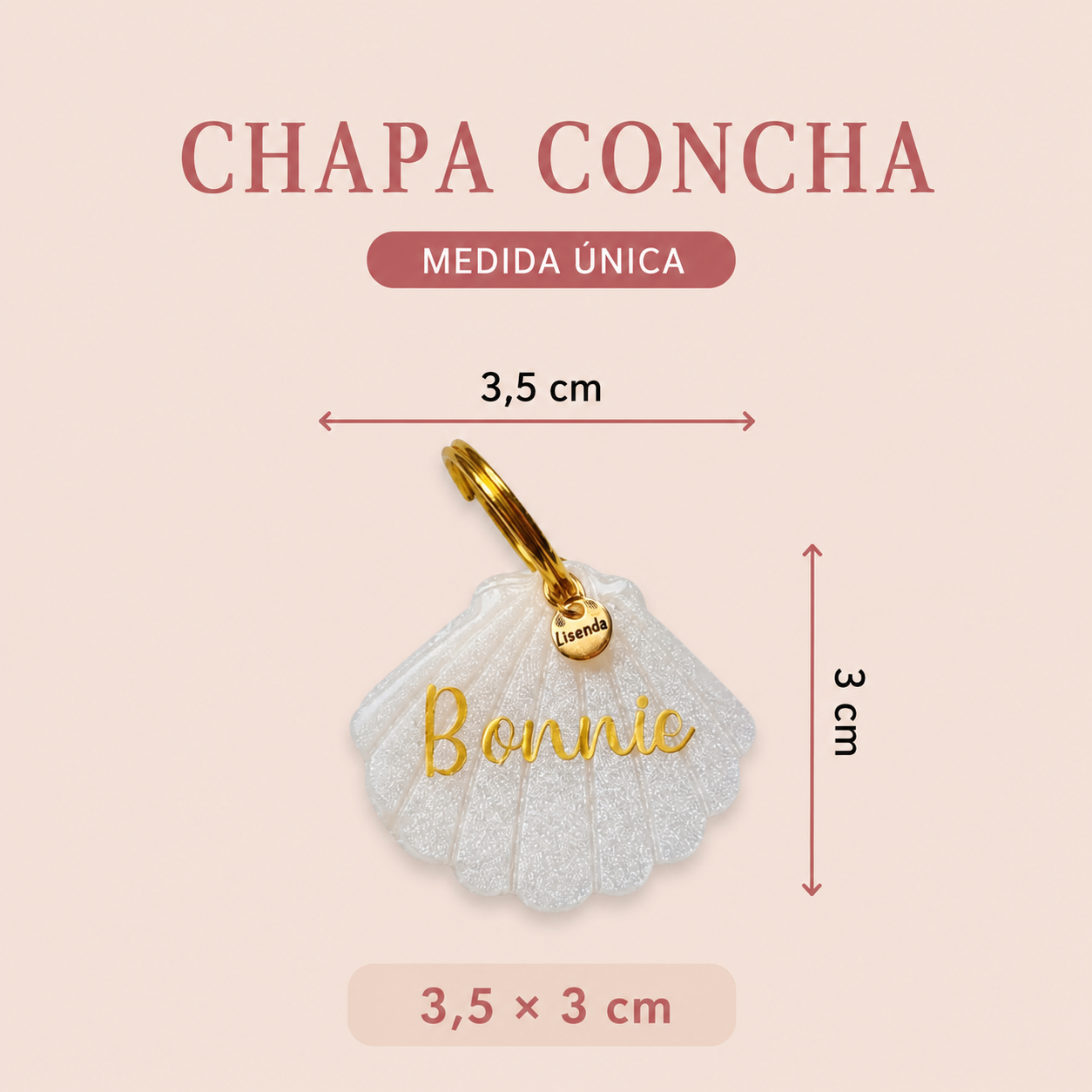 Chapita concha