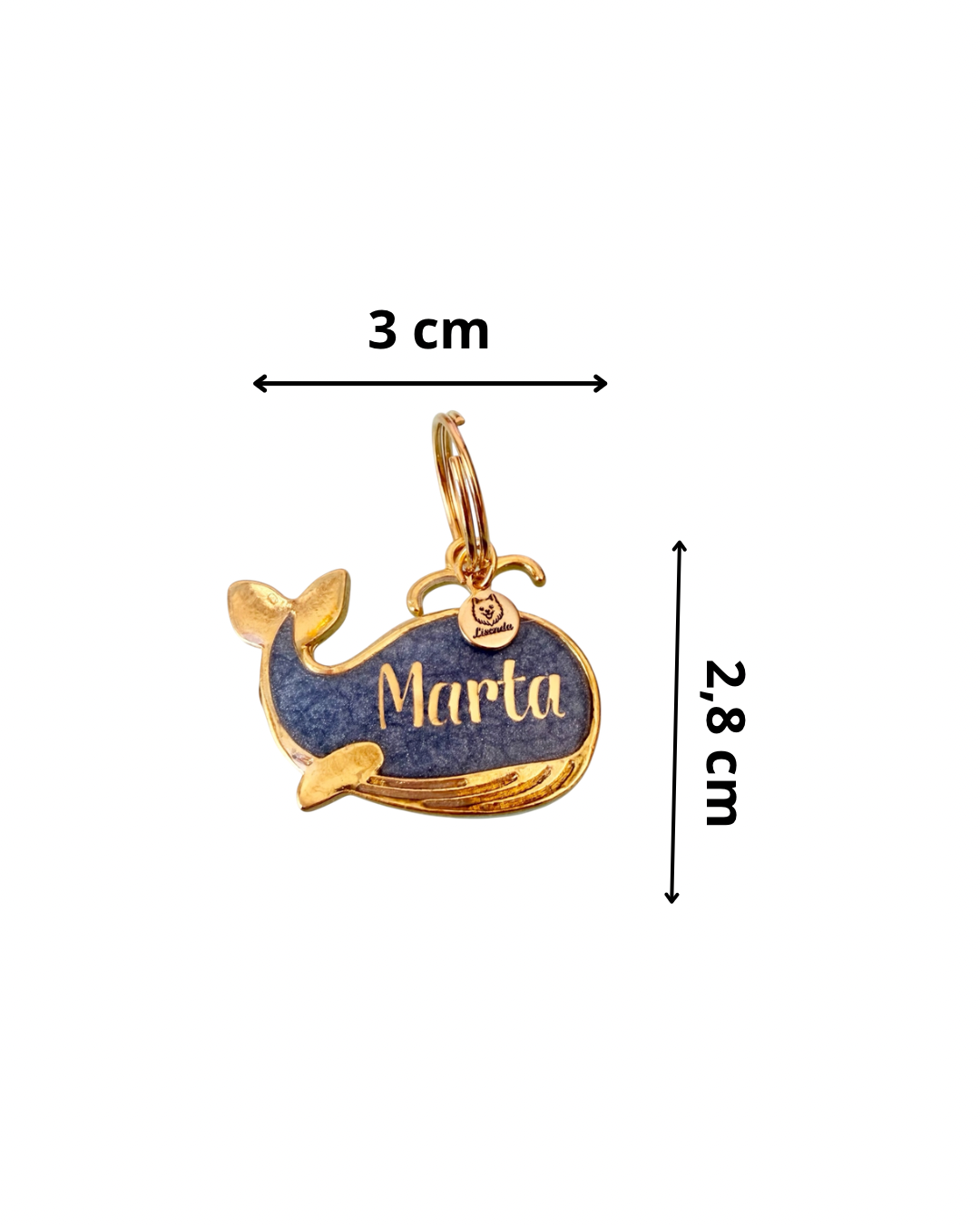 Chapita ballena