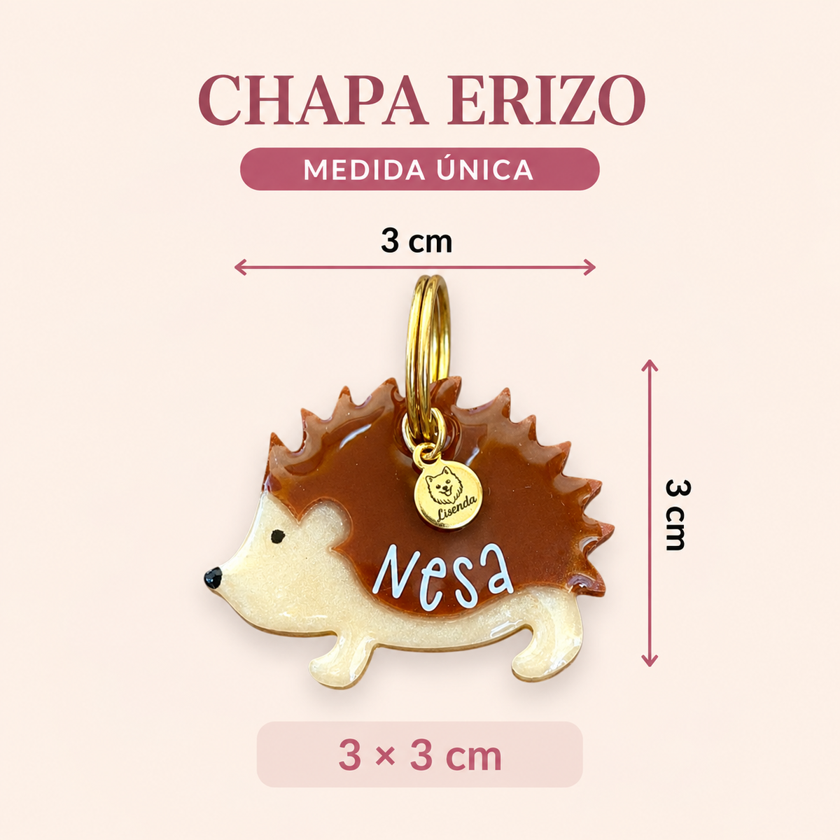 Chapita erizo