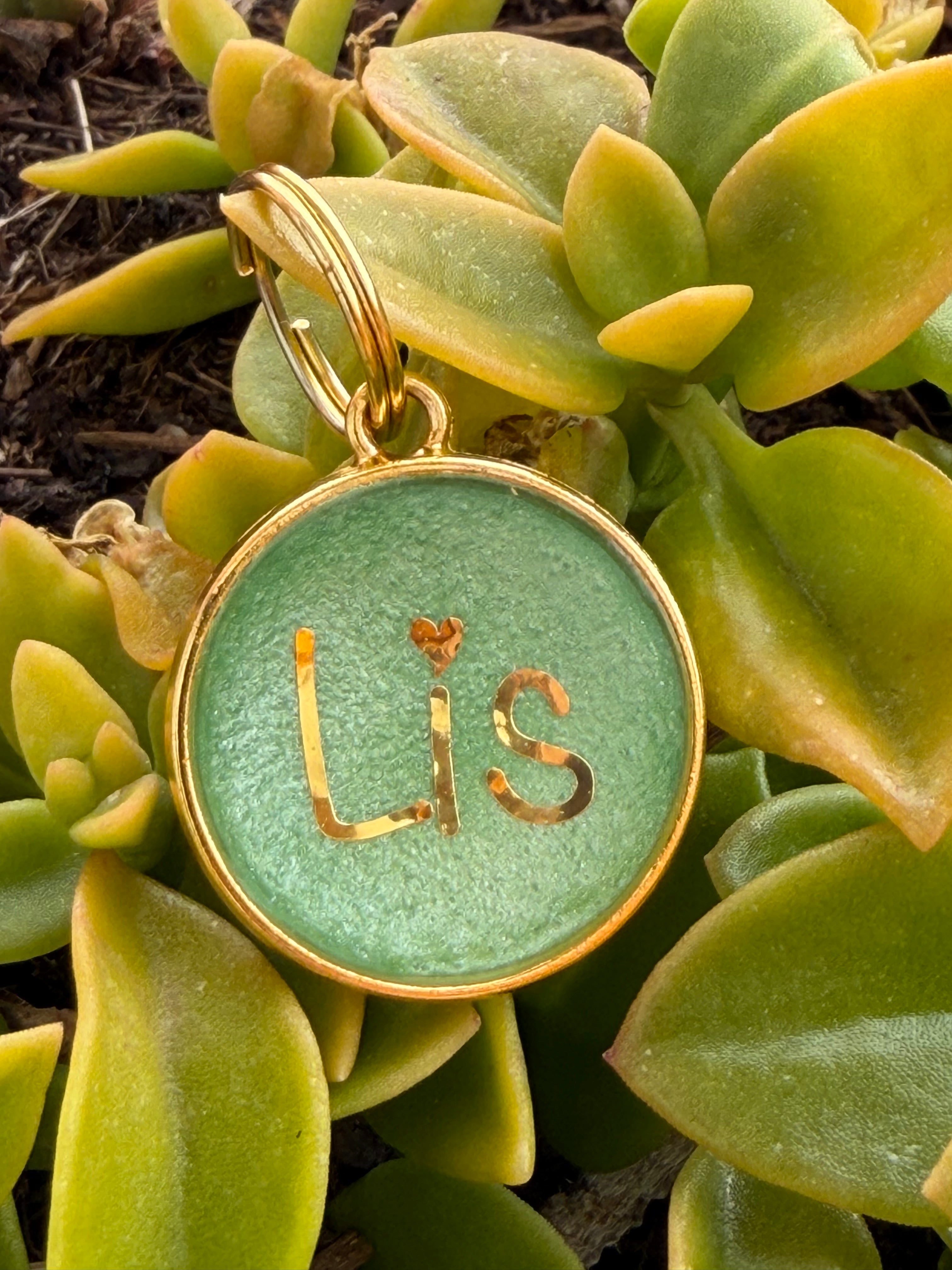 Pack arnés ajustable botanic + Chapita identificativa