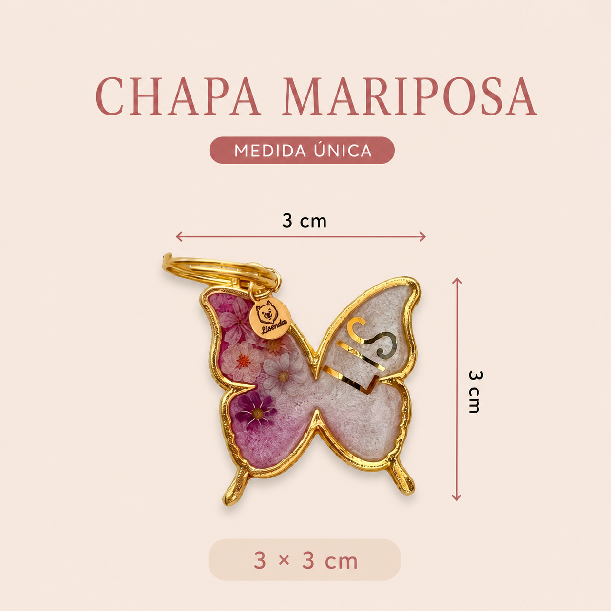 Chapita mariposa con marco