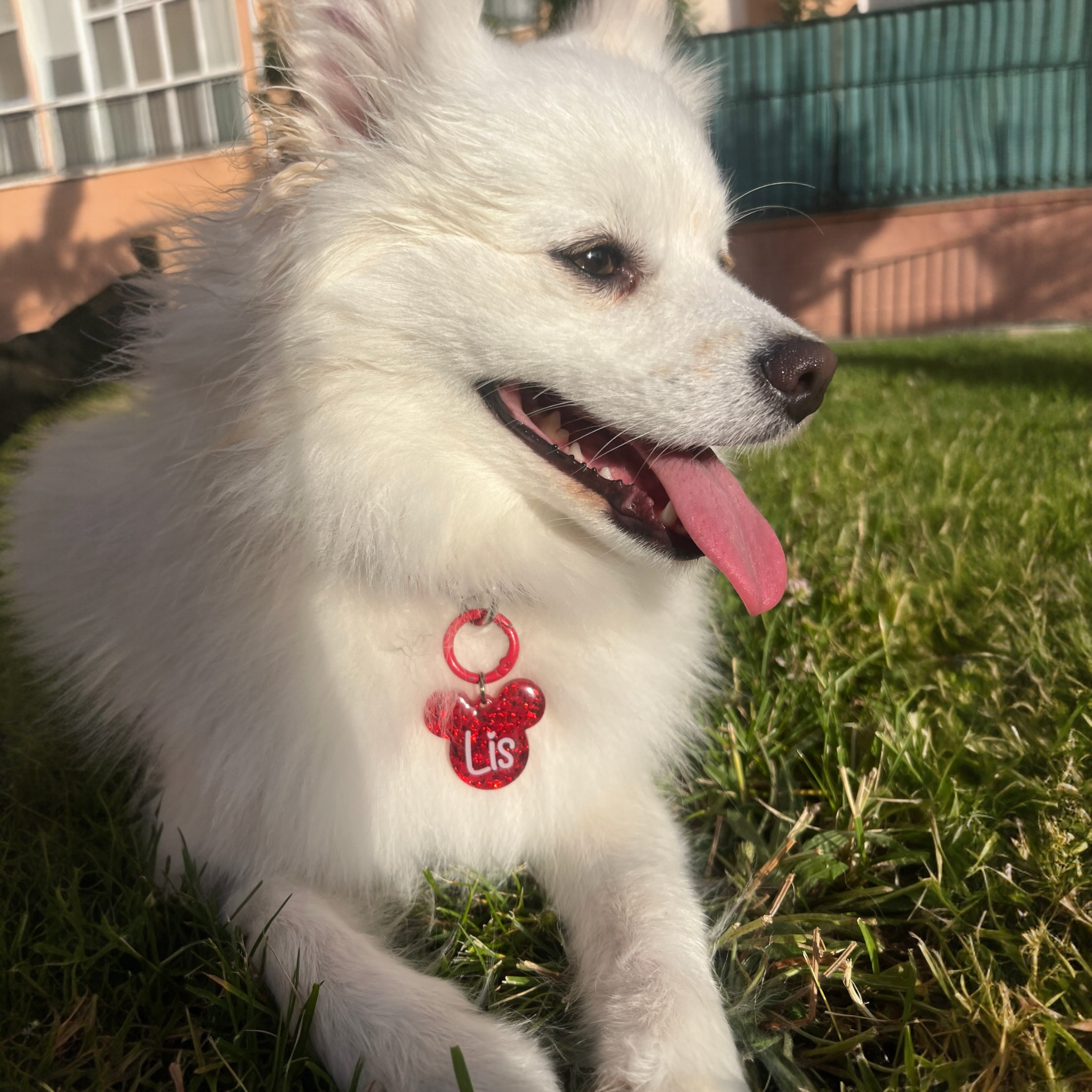 Chapita mickey rosa palo (grande)