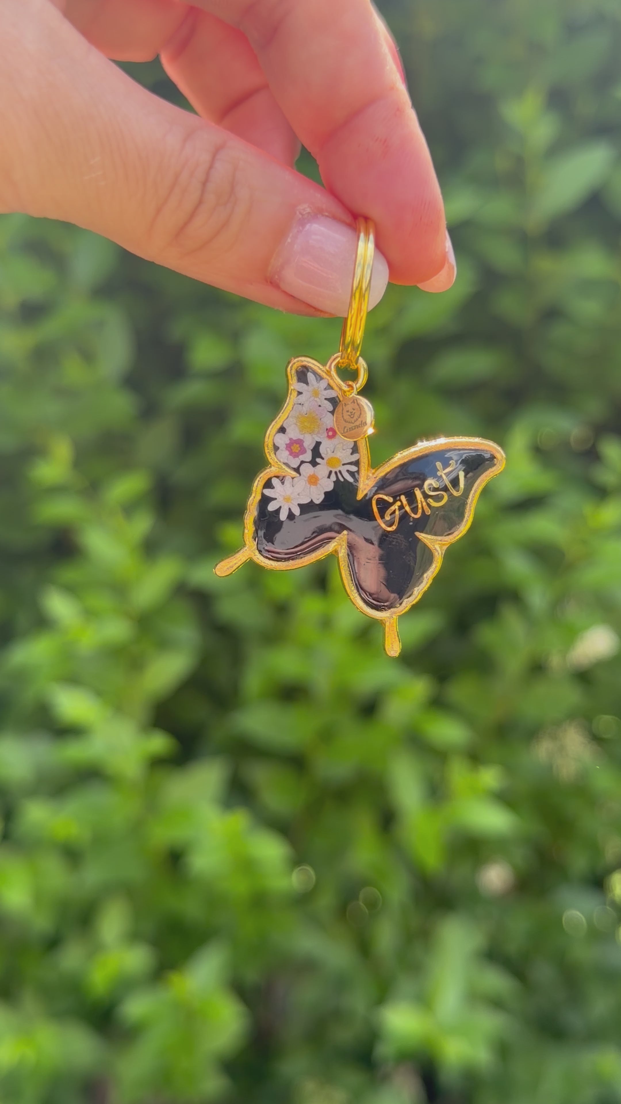 Chapita mariposa con marco