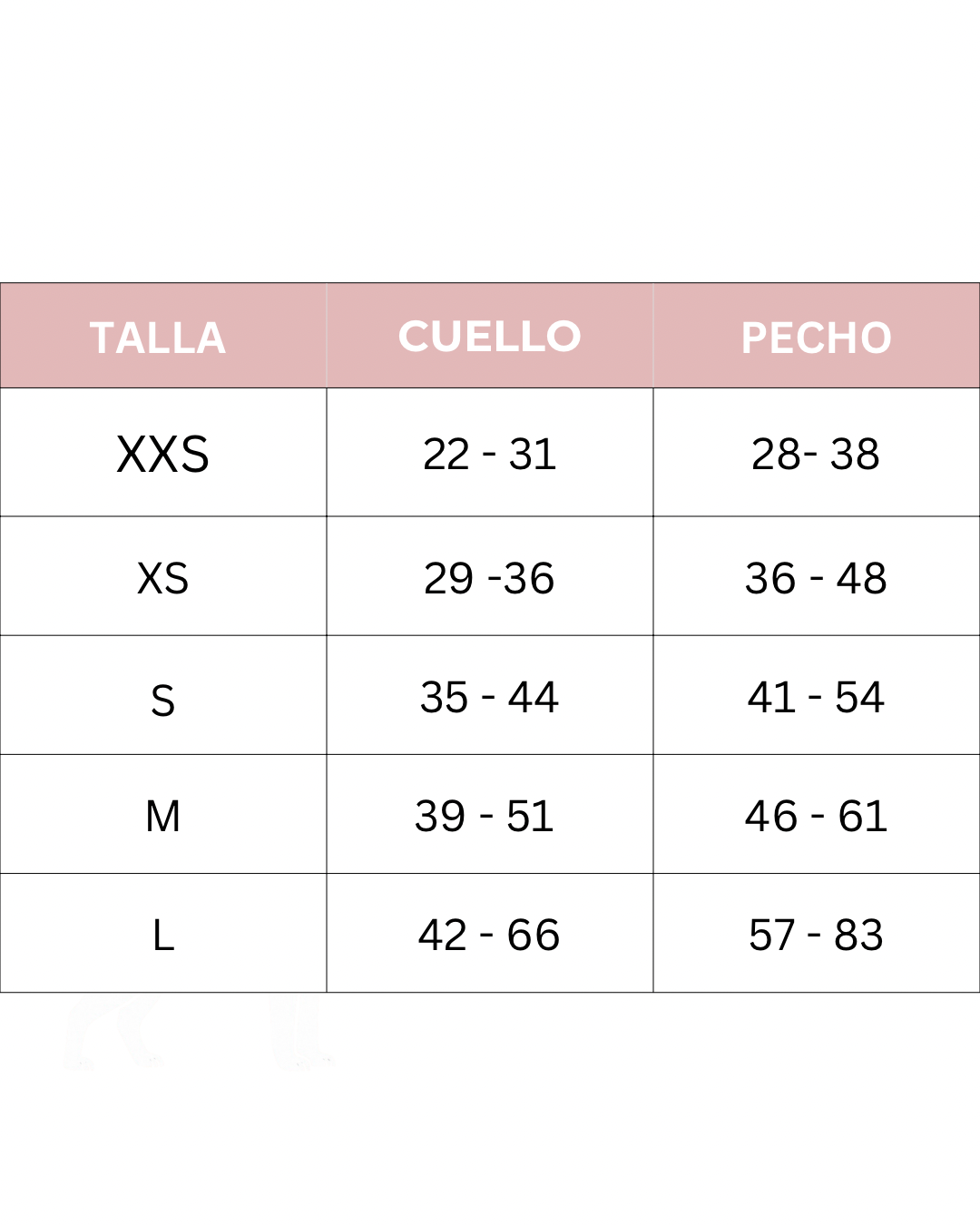 Total look Red Velvet